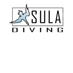 sula diving 300 x 300.jpg